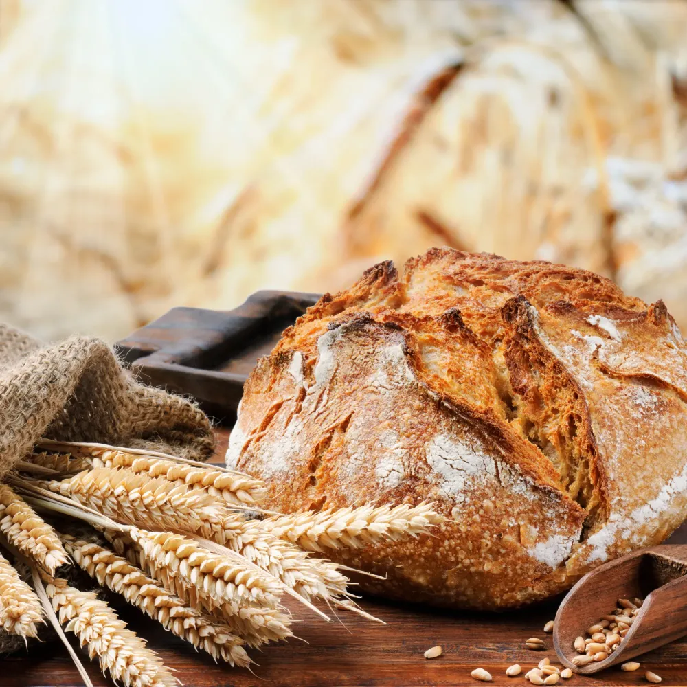 Pain au levain